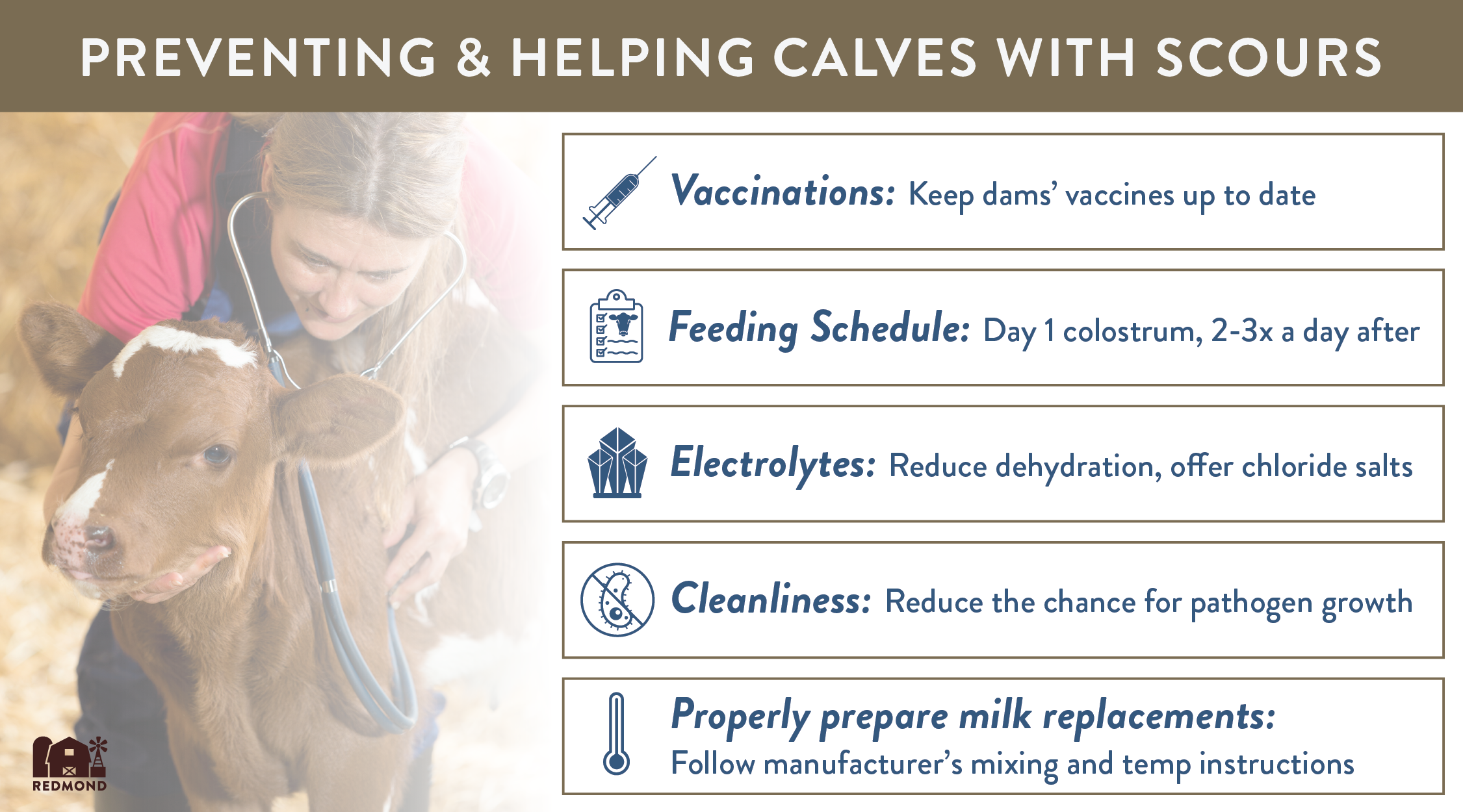 When To Stop Bottle Feeding A Calf